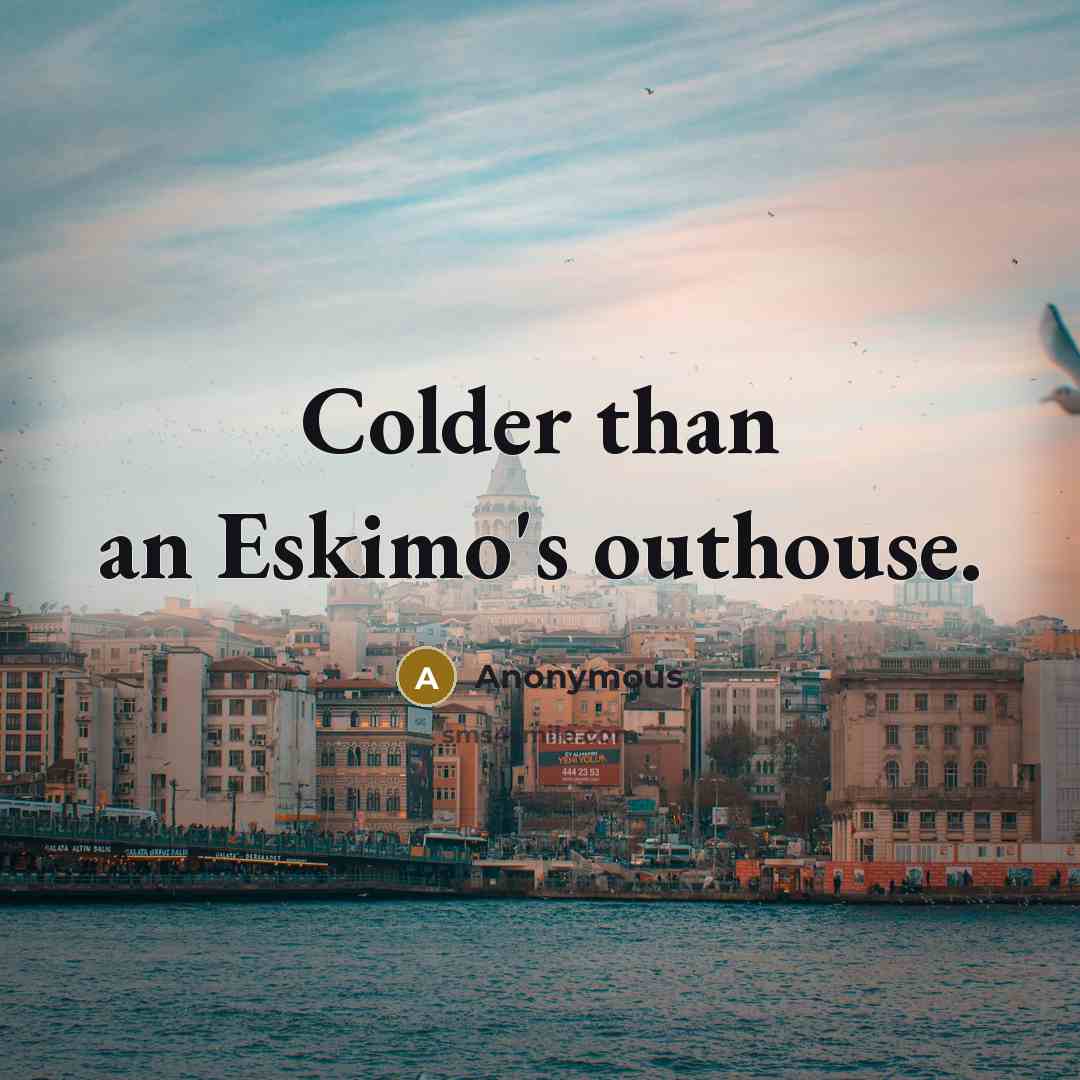 “Colder than an Eskimo's outhouse.…” quote by Anonymous