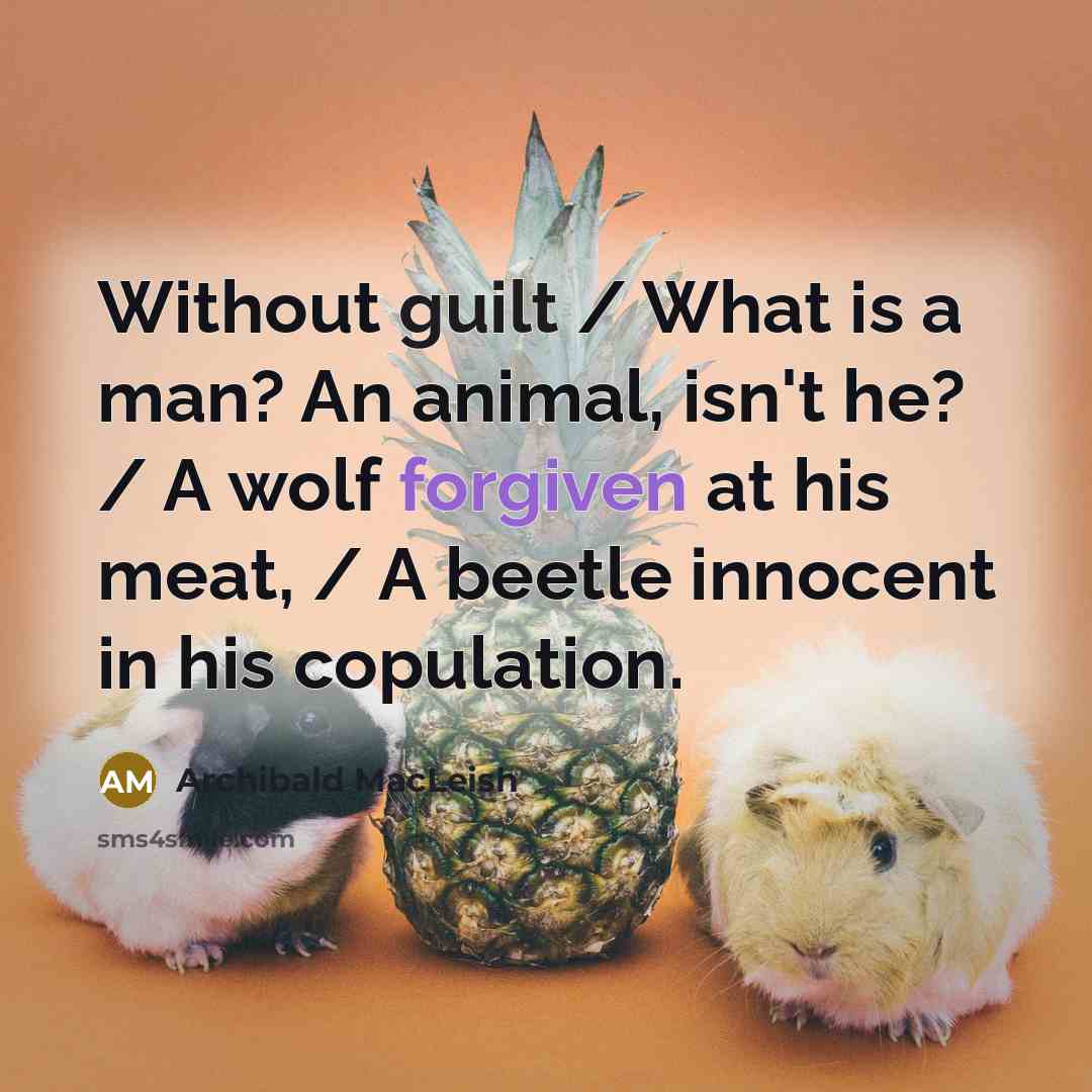 “Without guilt / What is a man? An animal, isn't…” quote by Archibald MacLeish