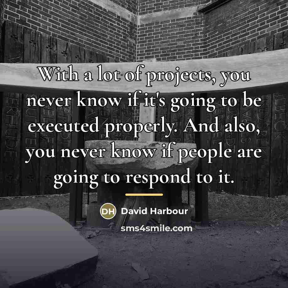 “With a lot of projects, you never know if it's…” quote by David Harbour
