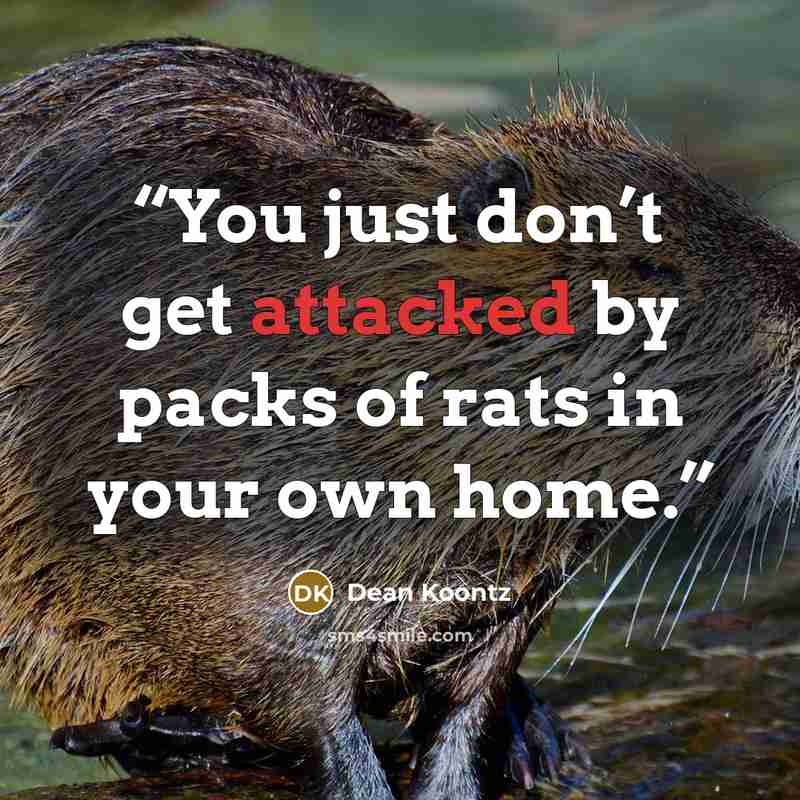 “You just don’t get attacked by packs of rats in your own home.” quote by Dean Koontz