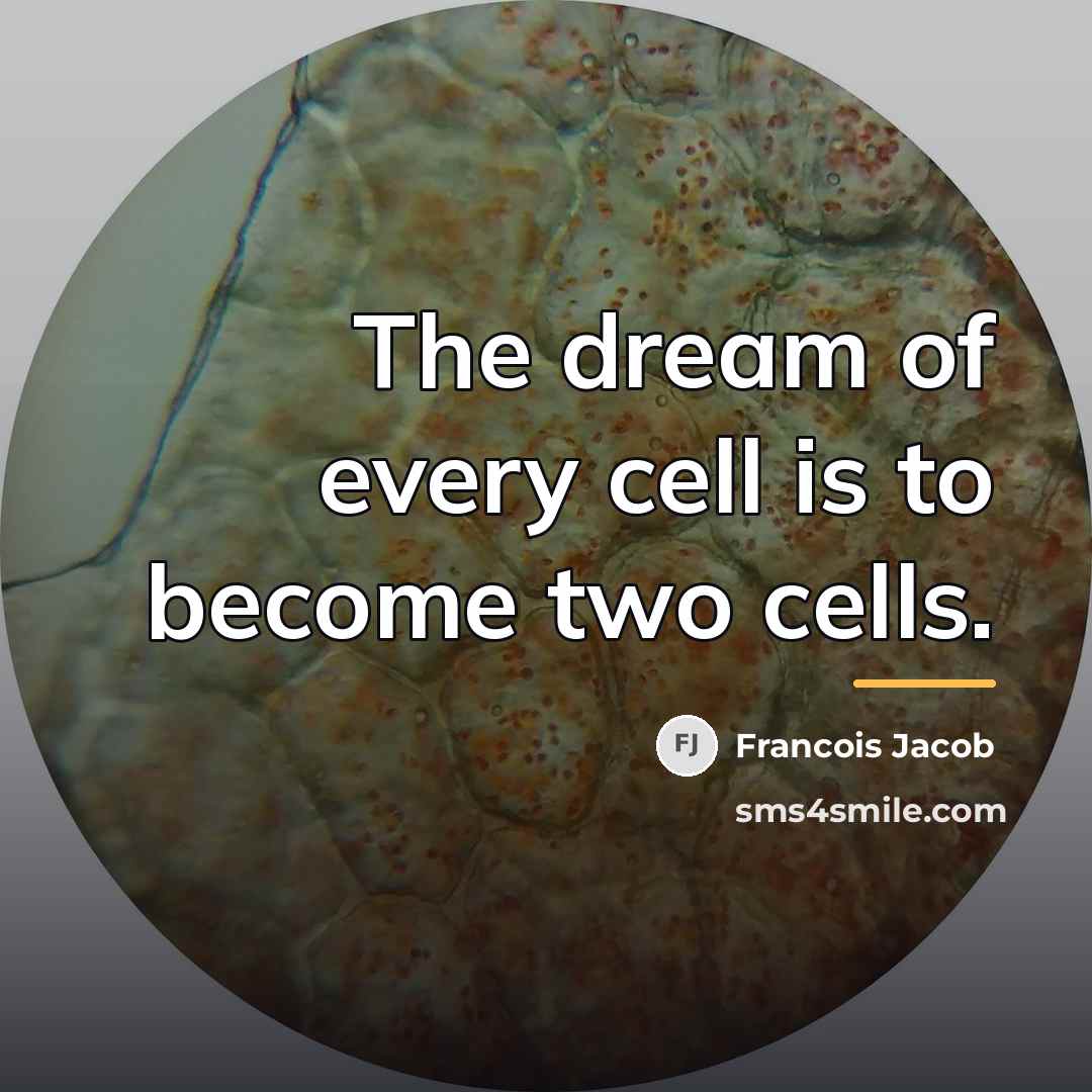 “The dream of every cell is to become two cells.…” quote by Francois Jacob