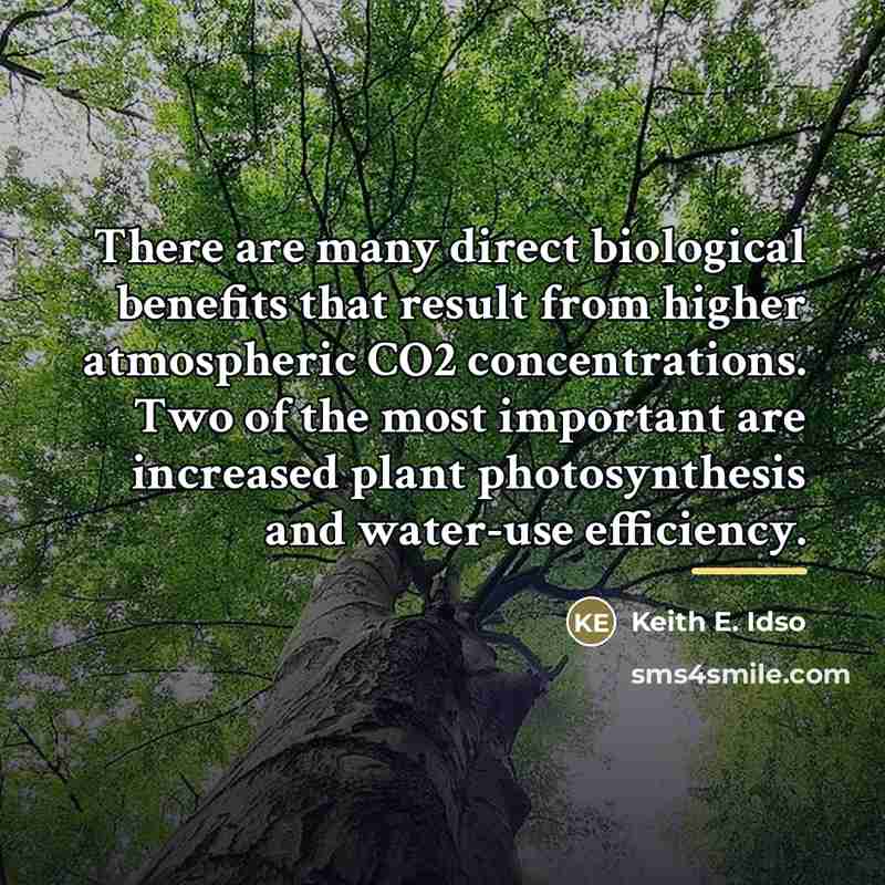 “There are many direct biological benefits that result from higher…” quote by Keith E. Idso