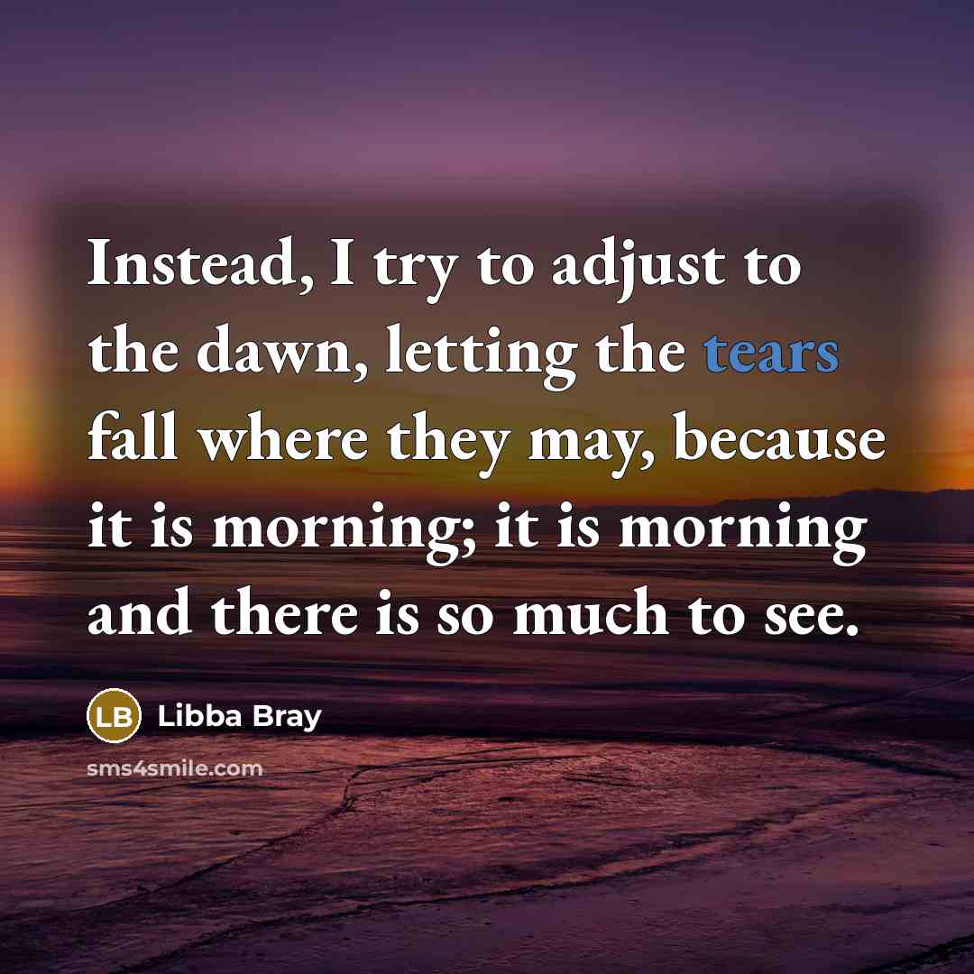 “Instead, I try to adjust to the dawn, letting the…” quote by Libba Bray