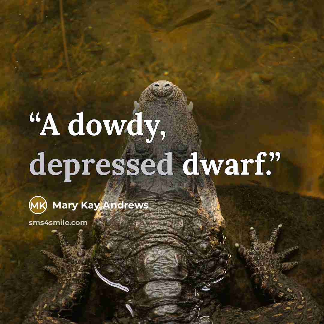 “A dowdy, depressed dwarf.” quote by Mary Kay Andrews