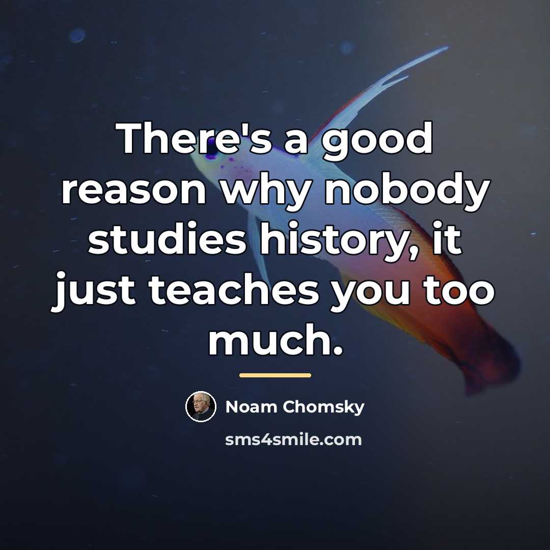 “There's a good reason why nobody studies history, it just…” quote by Noam Chomsky