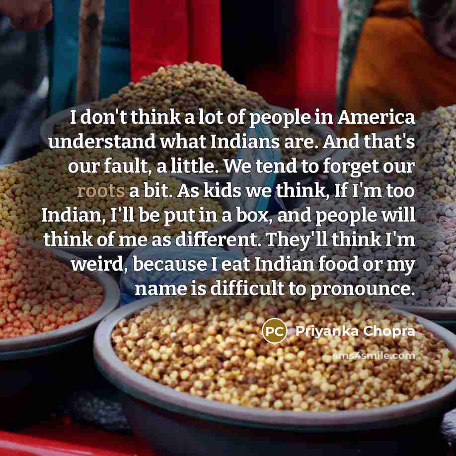 “I don't think a lot of people in America understand…” quote by Priyanka Chopra