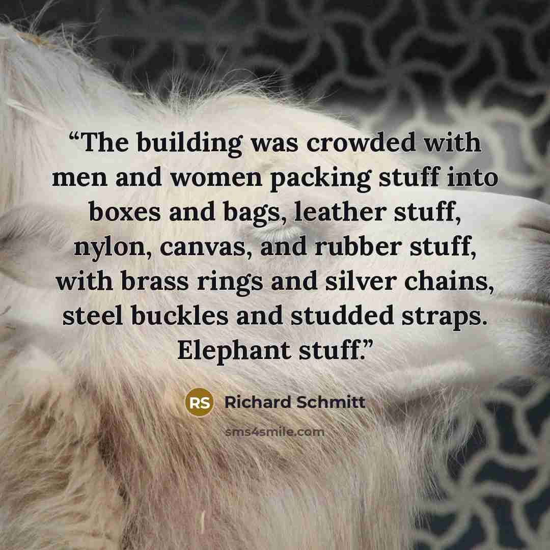 “The building was crowded with men and women packing stuff into boxes and bags, leather stuff, nylon, canvas, and rubber stuff, with brass rings and silver chains, steel buckles and studded straps. Elephant stuff.” quote by Richard Schmitt