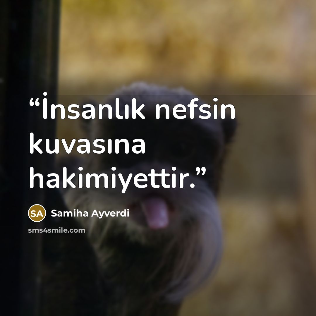 “İnsanlık nefsin kuvasına hakimiyettir.” quote by Samiha Ayverdi