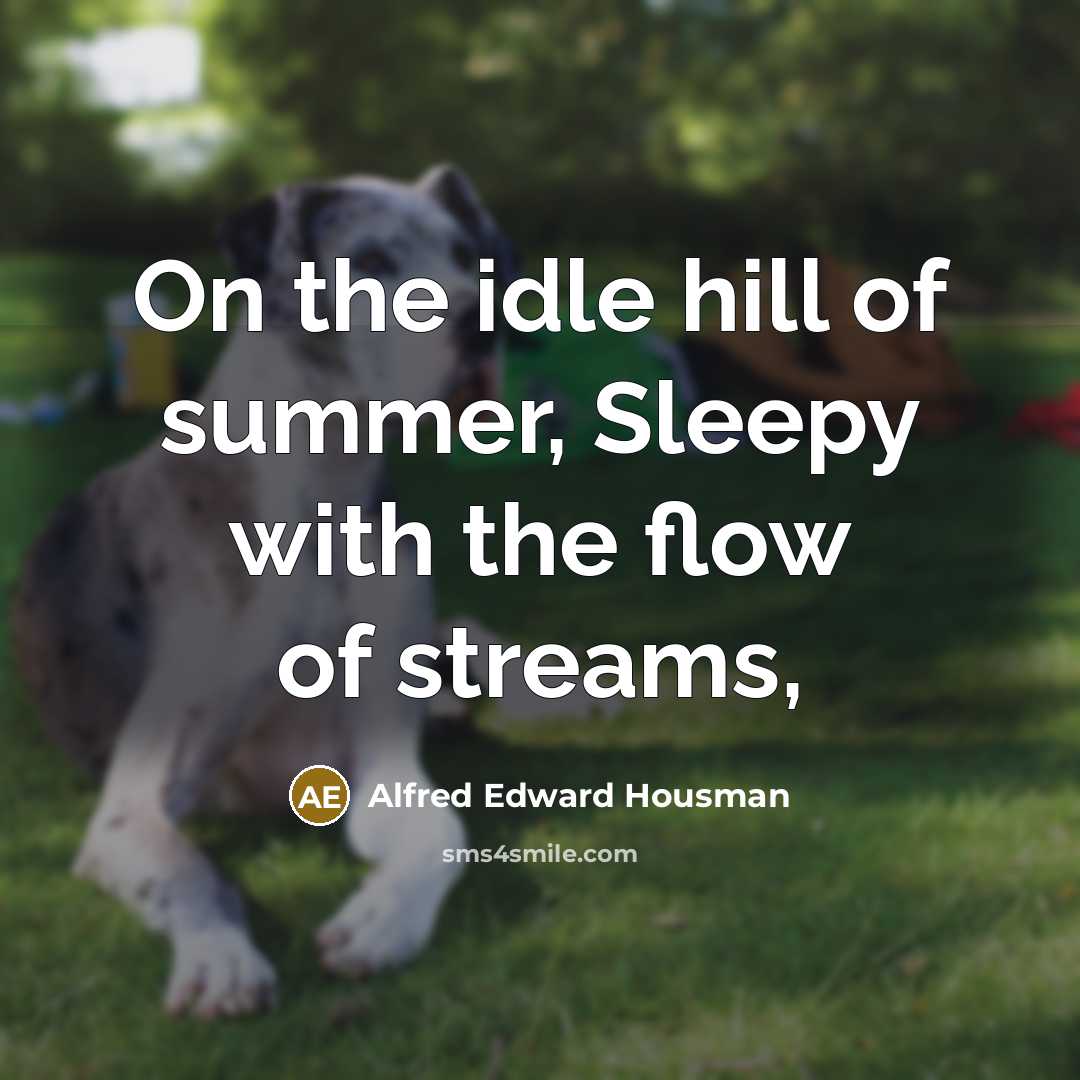 “On the idle hill of summer, Sleepy with the flow…” quote by Alfred Edward Housman