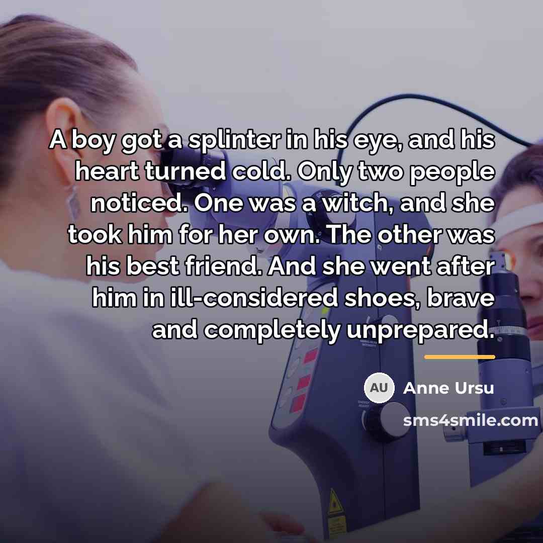“A boy got a splinter in his eye, and his…” quote by Anne Ursu