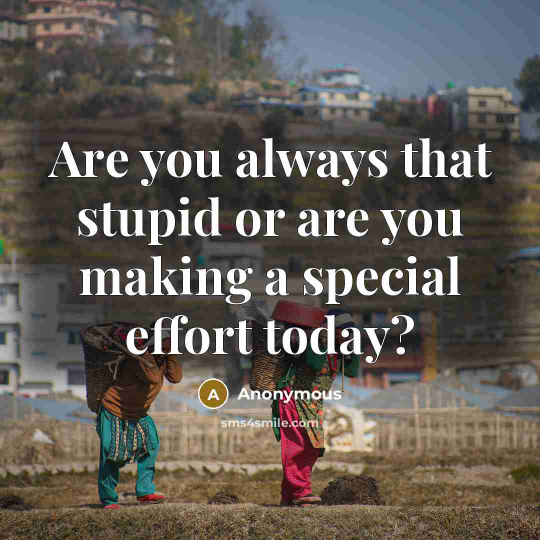 “Are you always that stupid or are you making a…” quote by Anonymous