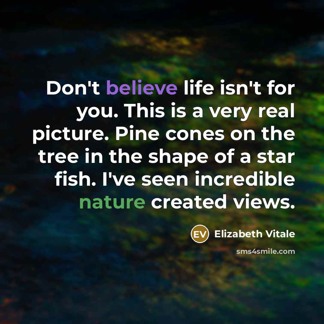 “Don't believe life isn't for you. This is a very real picture. Pine cones on the tree in the shape of a star fish. I've seen incredible nature created views.” quote by Elizabeth Vitale