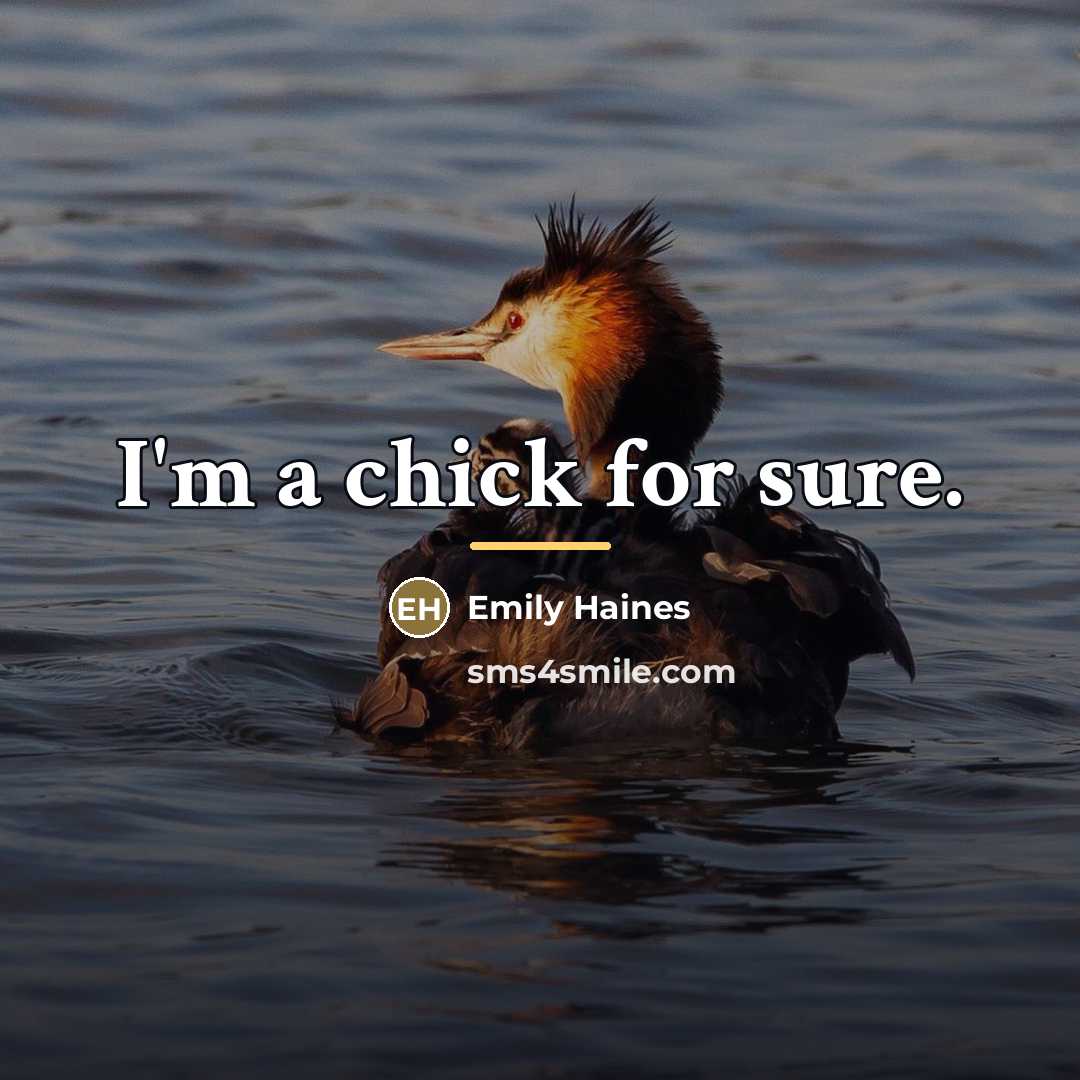 “I'm a chick for sure.…” quote by Emily Haines