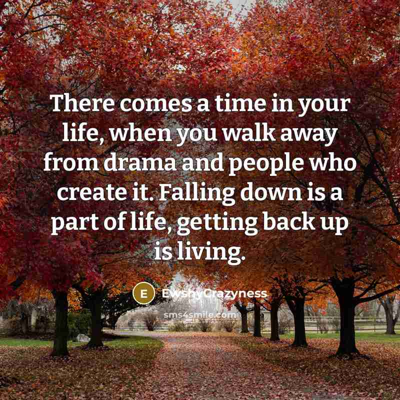 “There comes a time in your life, when you walk…” quote by EwshyCrazyness