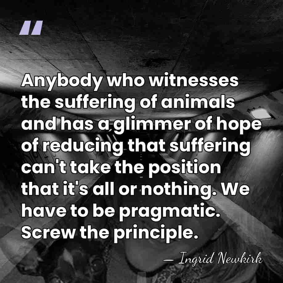 Anybody who witnesses the suffering of animals and has a glimmer of&hellip; - Ingrid Newkirk