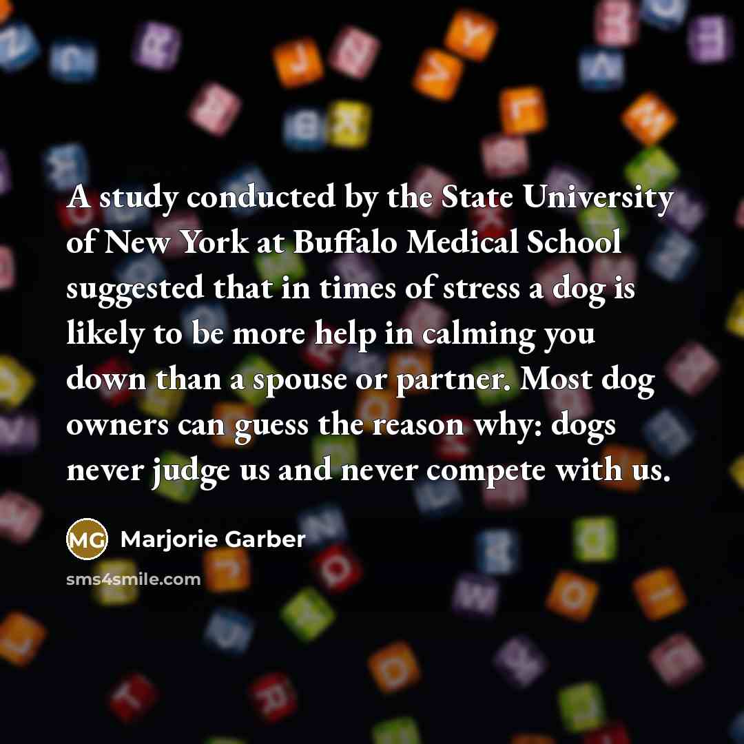 “A study conducted by the State University of New York…” quote by Marjorie Garber