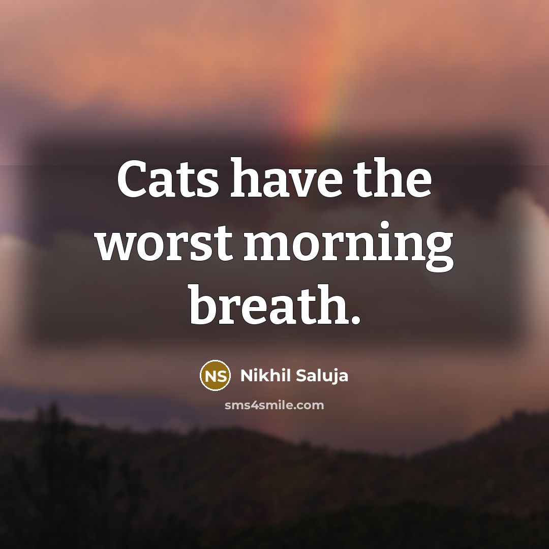 “Cats have the worst morning breath.…” quote by Nikhil Saluja
