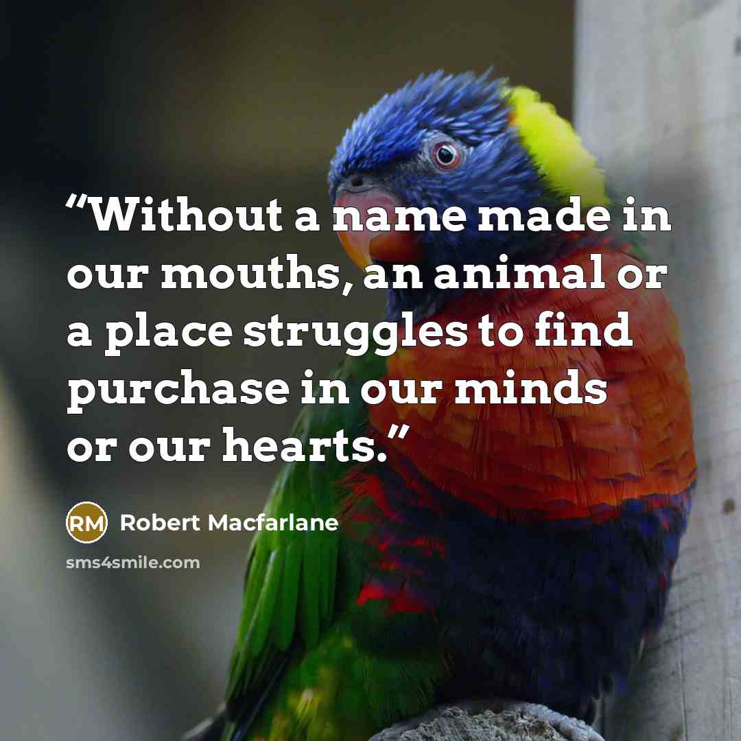“Without a name made in our mouths, an animal or a place struggles to find purchase in our minds or our hearts.” quote by Robert Macfarlane