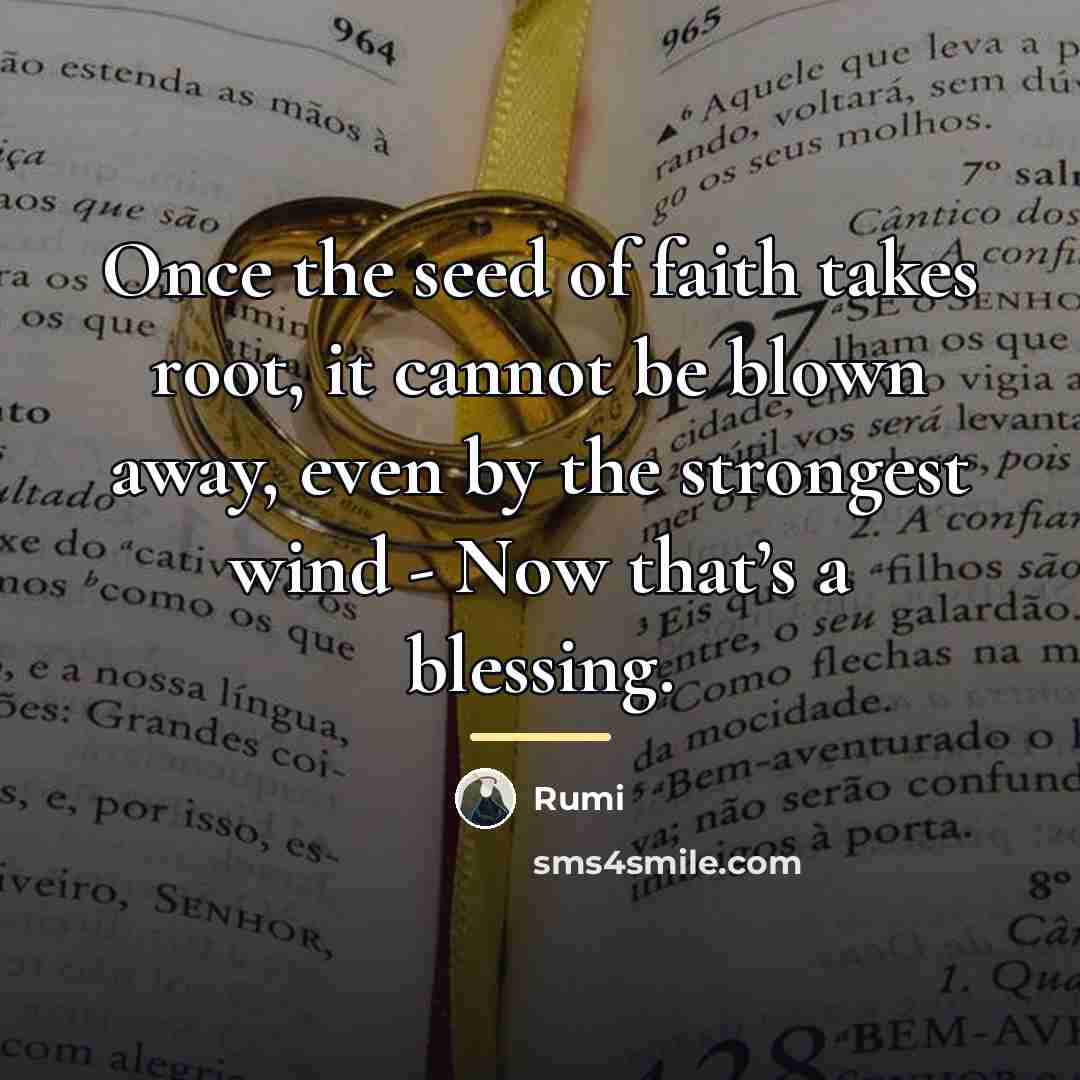 “Once the seed of faith takes root, it cannot be…” quote by Rumi