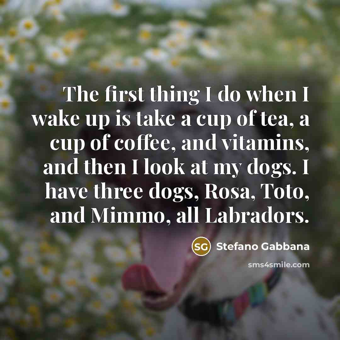 “The first thing I do when I wake up is…” quote by Stefano Gabbana