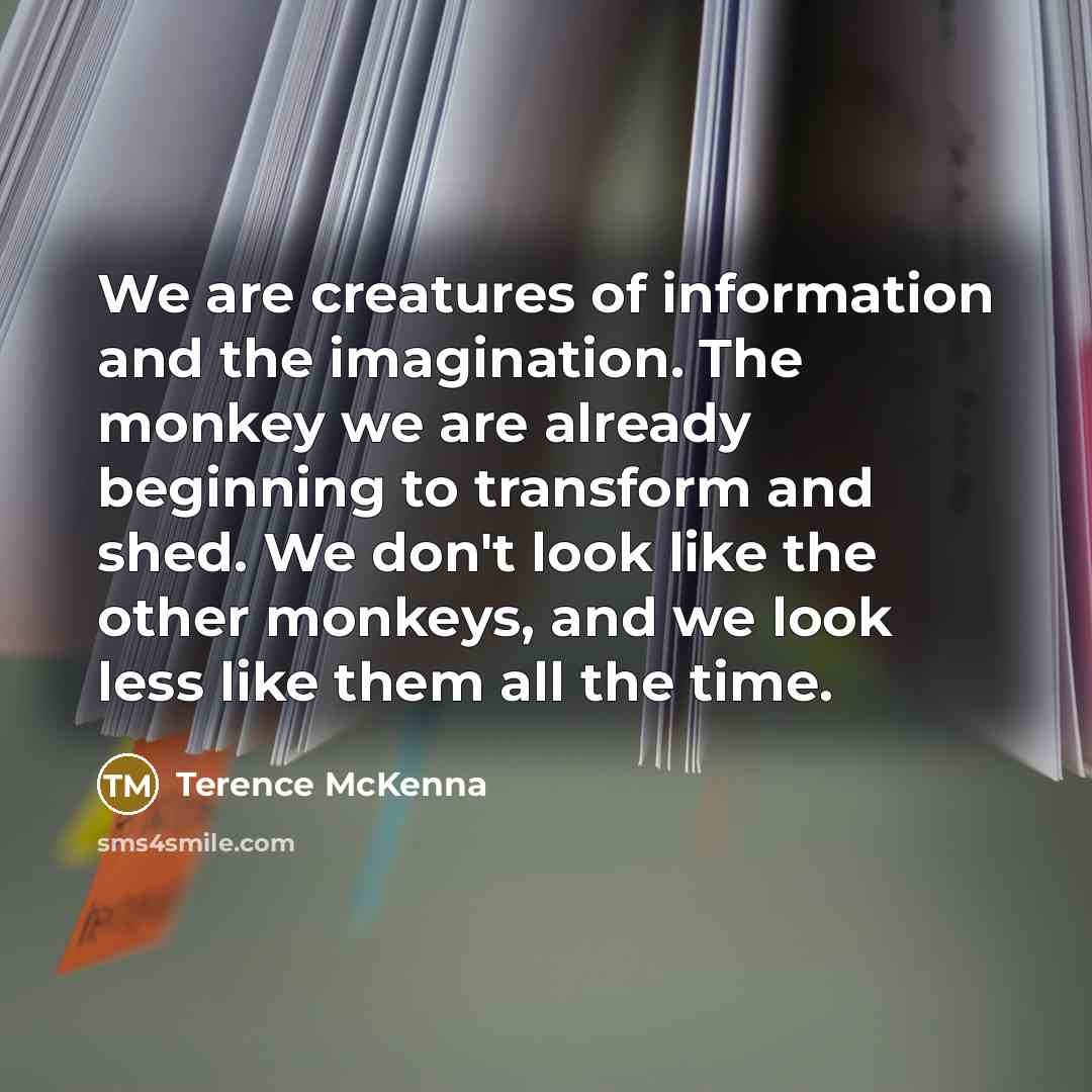 “We are creatures of information and the imagination. The monkey…” quote by Terence McKenna