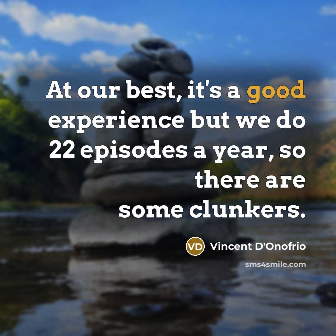“At our best, it's a good experience but we do…” quote by Vincent D'Onofrio
