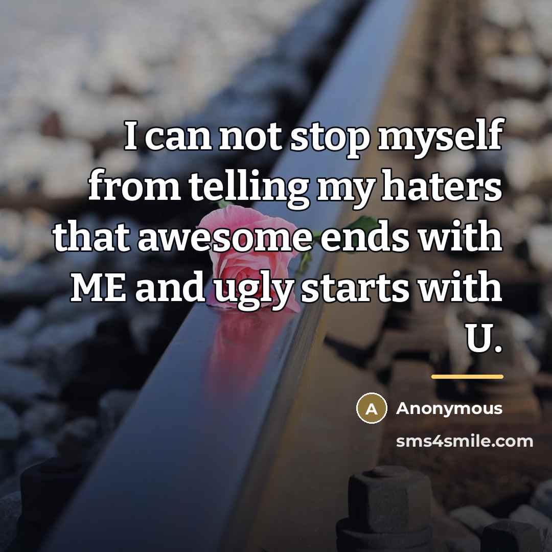 “I can not stop myself from telling my haters that…” quote by Anonymous