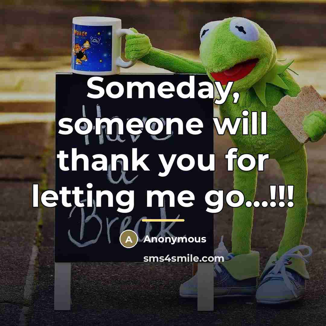 “Someday, someone will thank you for letting me go...!!!…” quote by Anonymous