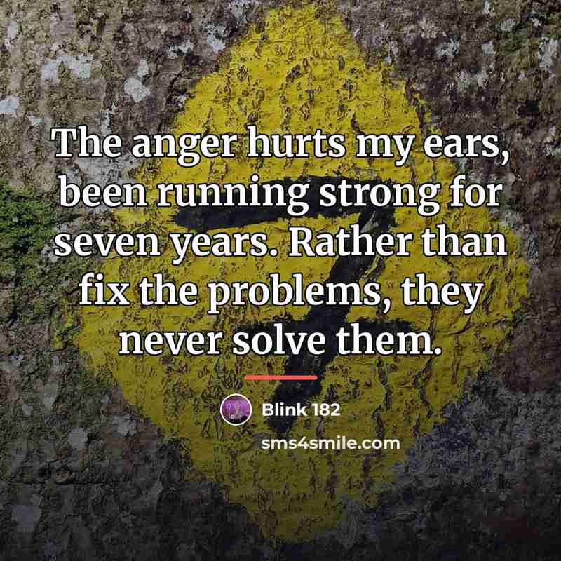 “The anger hurts my ears, been running strong for seven…” quote by Blink 182