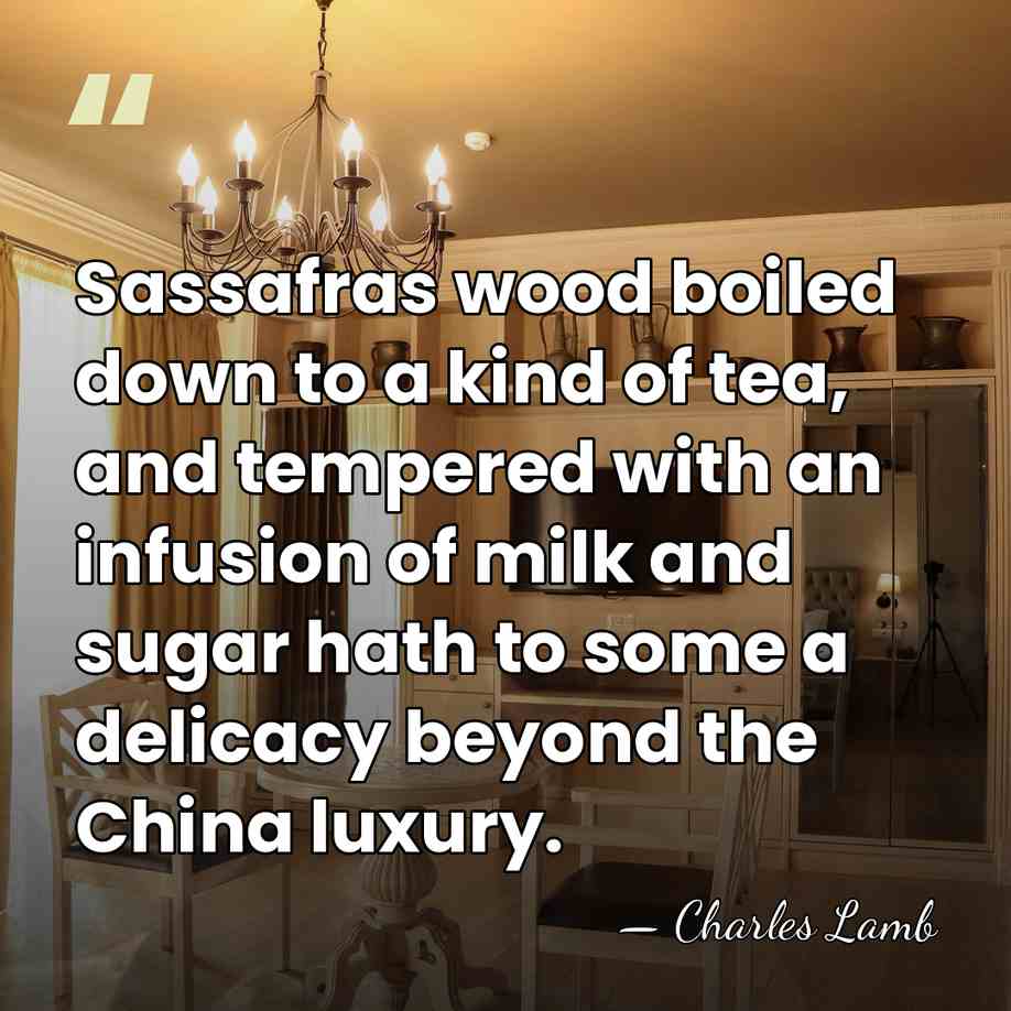 Sassafras wood boiled down to a kind of tea, and tempered with&hellip; - Charles Lamb