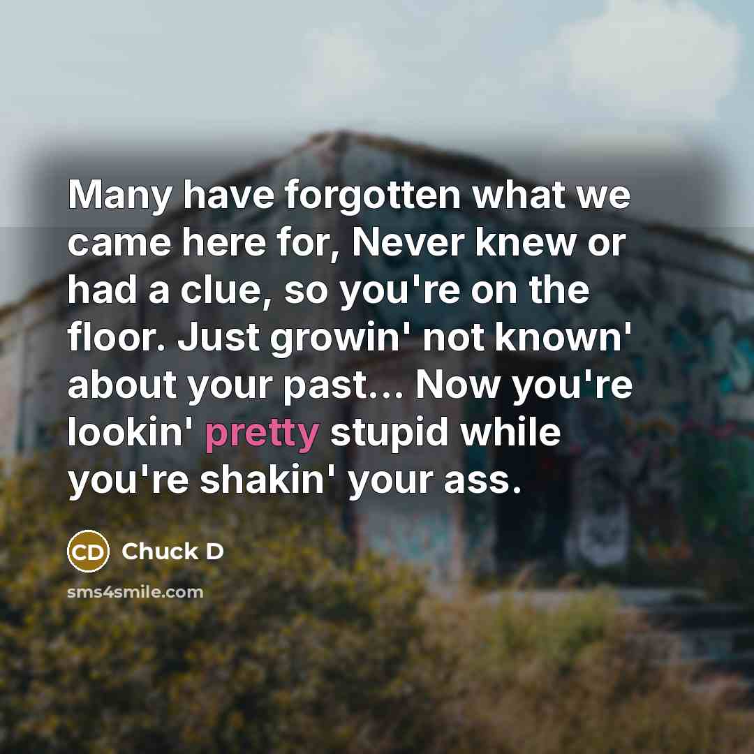 “Many have forgotten what we came here for, Never knew…” quote by Chuck D
