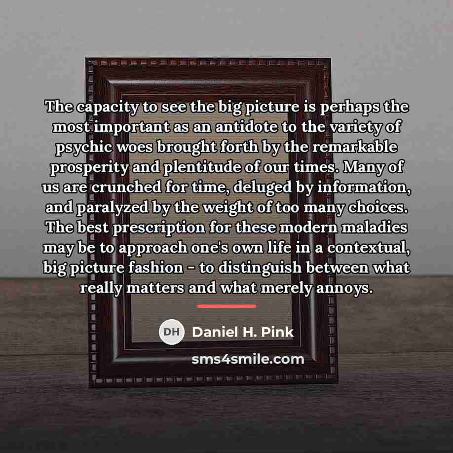 “The capacity to see the big picture is perhaps the…” quote by Daniel H. Pink