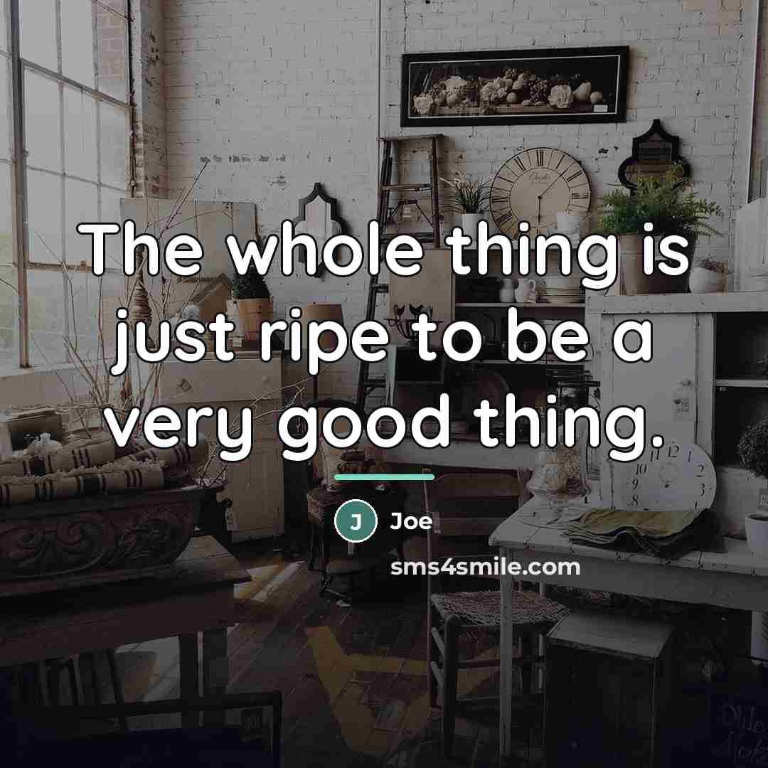 “The whole thing is just ripe to be a very…” quote by Joe