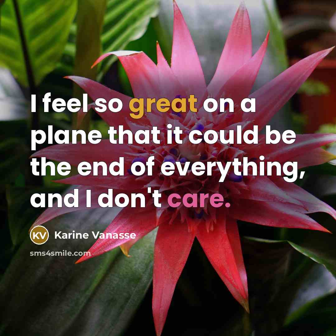 “I feel so great on a plane that it could…” quote by Karine Vanasse
