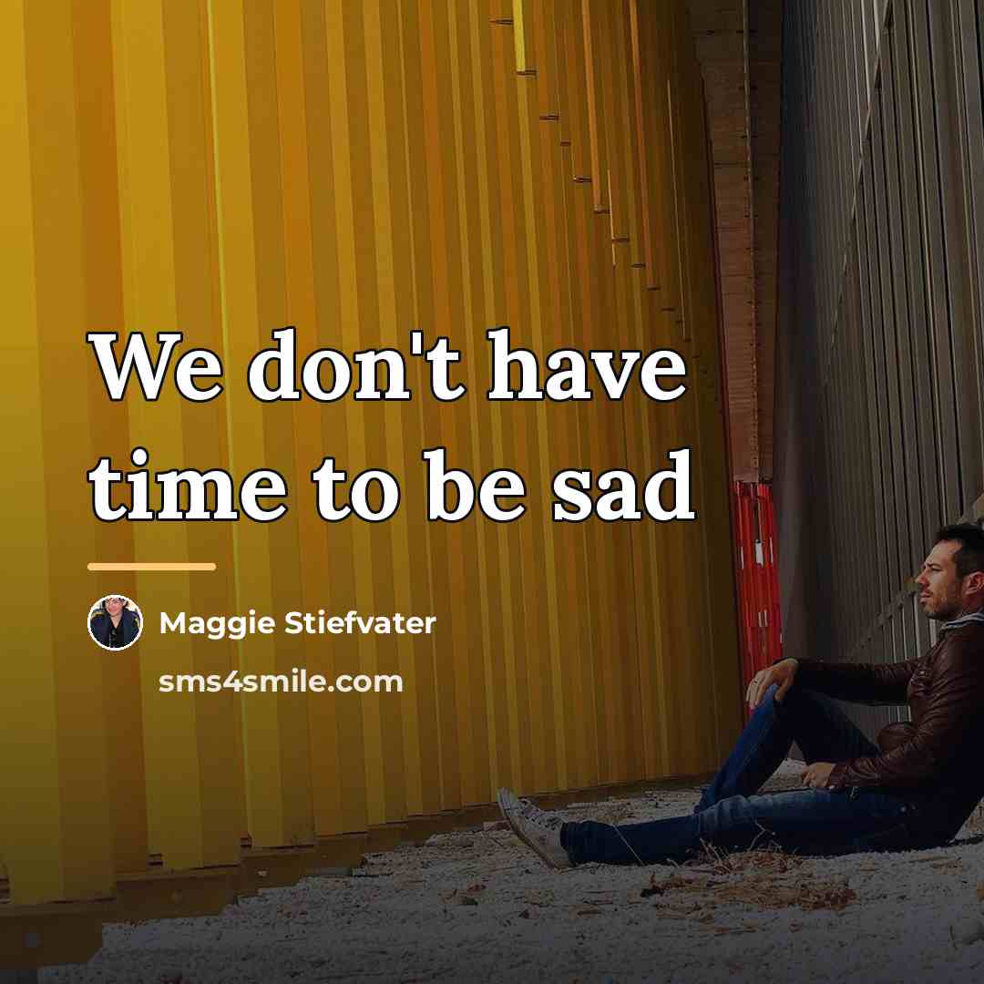 “We don't have time to be sad…” quote by Maggie Stiefvater