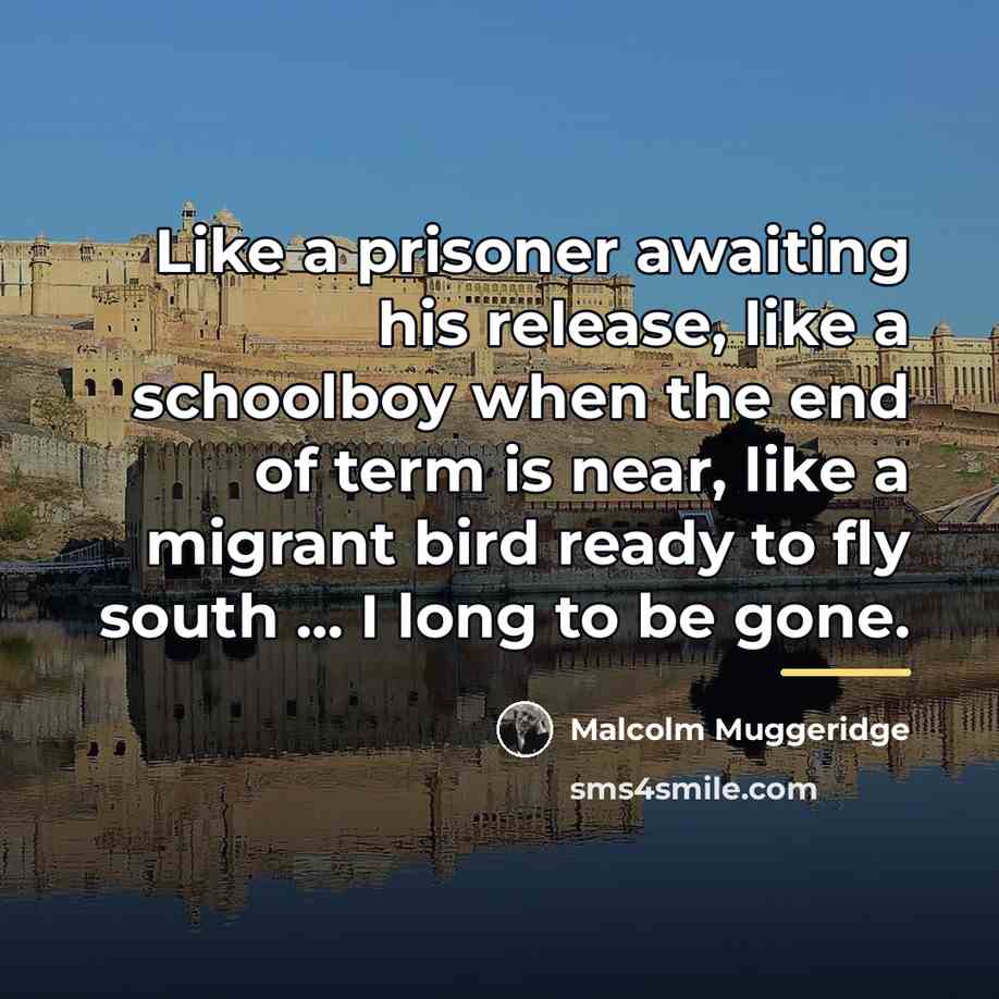 “Like a prisoner awaiting his release, like a schoolboy when…” quote by Malcolm Muggeridge