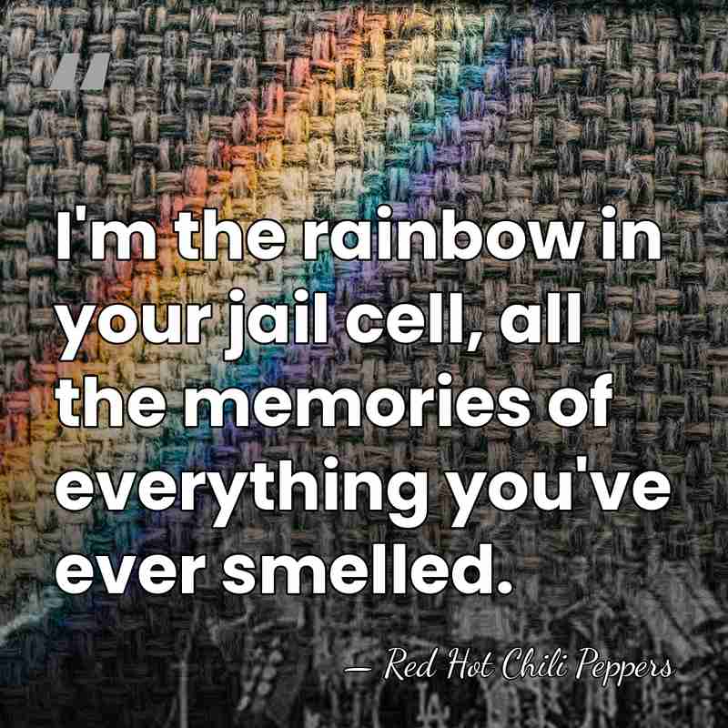 I'm the rainbow in your jail cell, all the memories of everything&hellip; - Red Hot Chili Peppers
