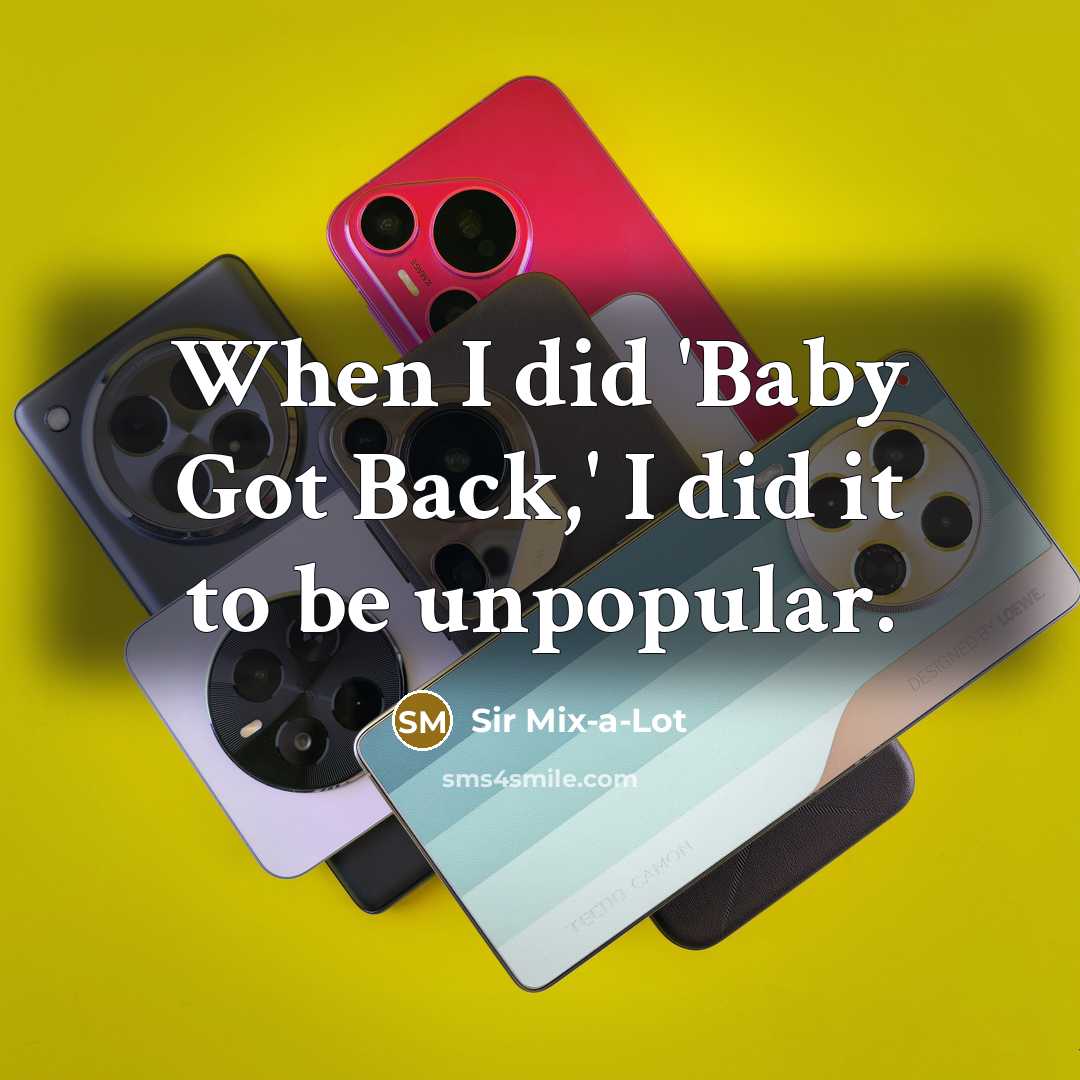 “When I did 'Baby Got Back,' I did it to…” quote by Sir Mix-a-Lot