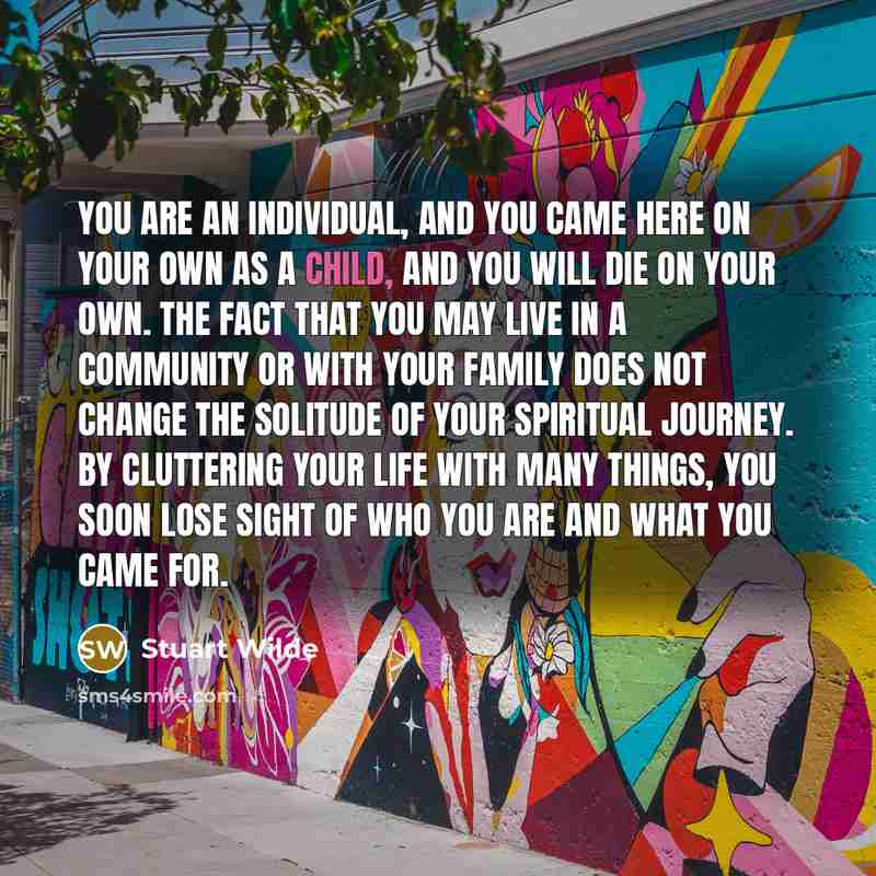 “You are an individual, and you came here on your…” quote by Stuart Wilde