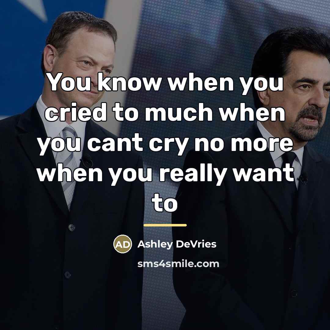“You know when you cried to much when you cant…” quote by Ashley DeVries