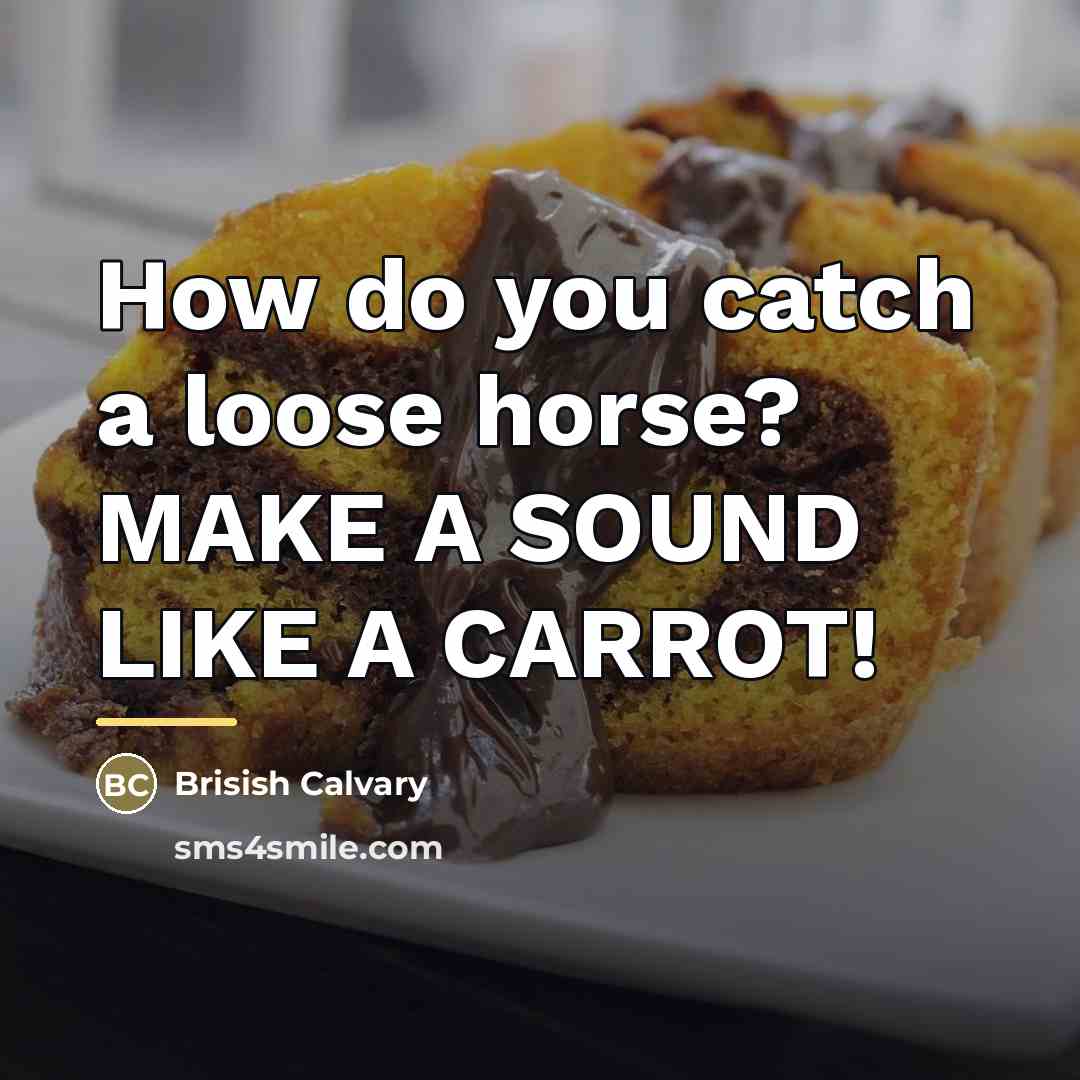 “How do you catch a loose horse? MAKE A SOUND…” quote by Brisish Calvary