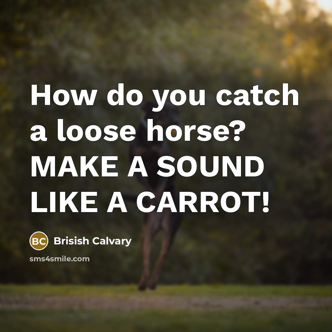 “How do you catch a loose horse? MAKE A SOUND LIKE A CARROT!” quote by Brisish Calvary