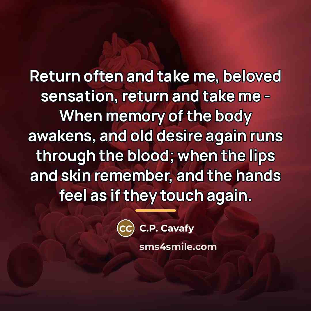 “Return often and take me, beloved sensation, return and take…” quote by C.P. Cavafy
