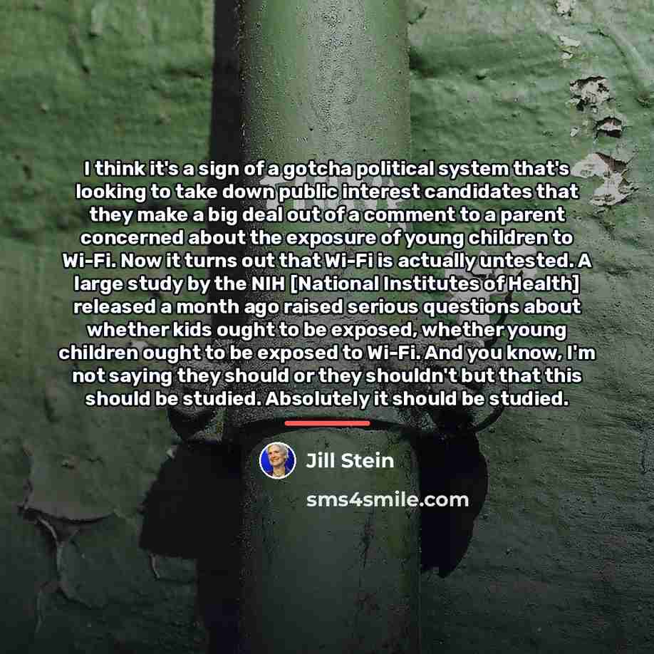 “I think it's a sign of a gotcha political system…” quote by Jill Stein