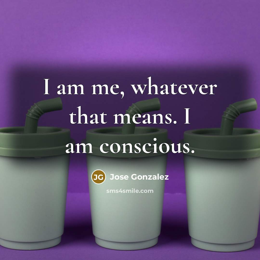 “I am me, whatever that means. I am conscious.…” quote by Jose Gonzalez