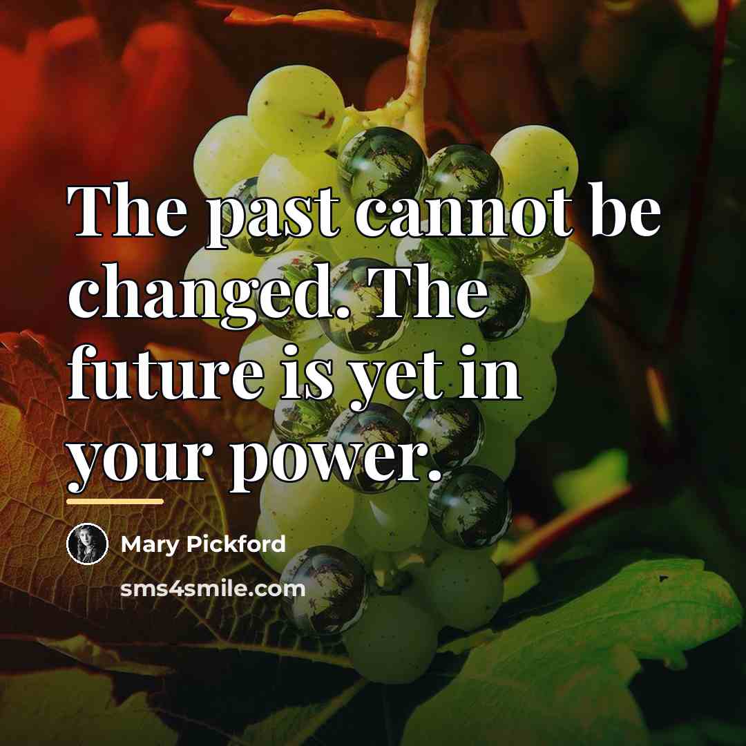 “The past cannot be changed. The future is yet in…” quote by Mary Pickford