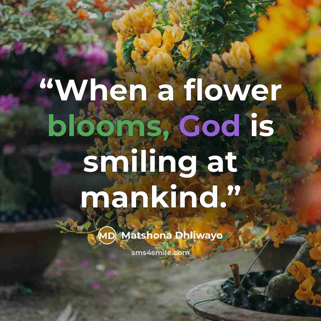 “When a flower blooms, God is smiling at mankind.” quote by Matshona Dhliwayo