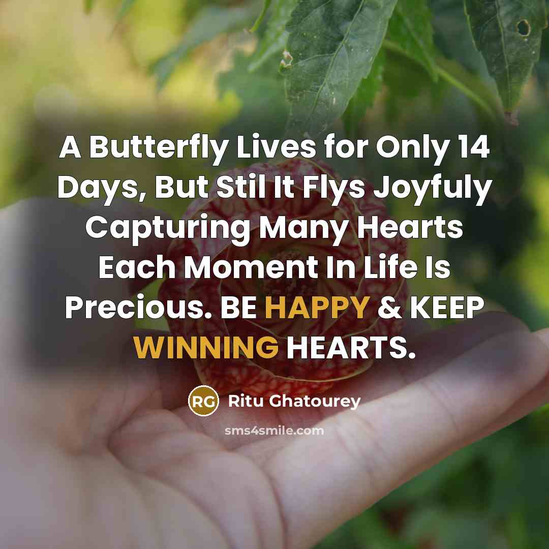 “A Butterfly Lives for Only 14 Days, But Stil It…” quote by Ritu Ghatourey