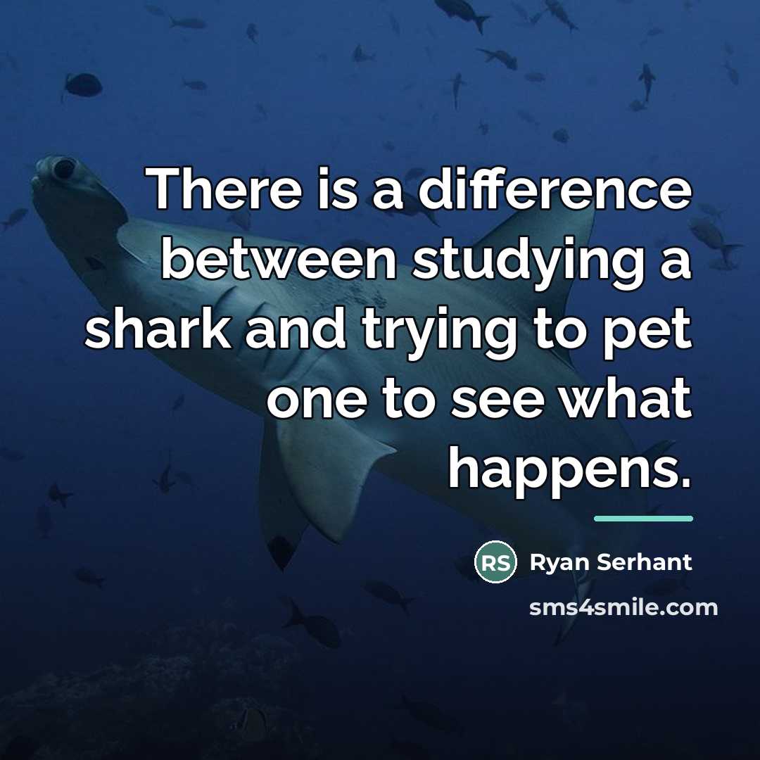 “There is a difference between studying a shark and trying…” quote by Ryan Serhant