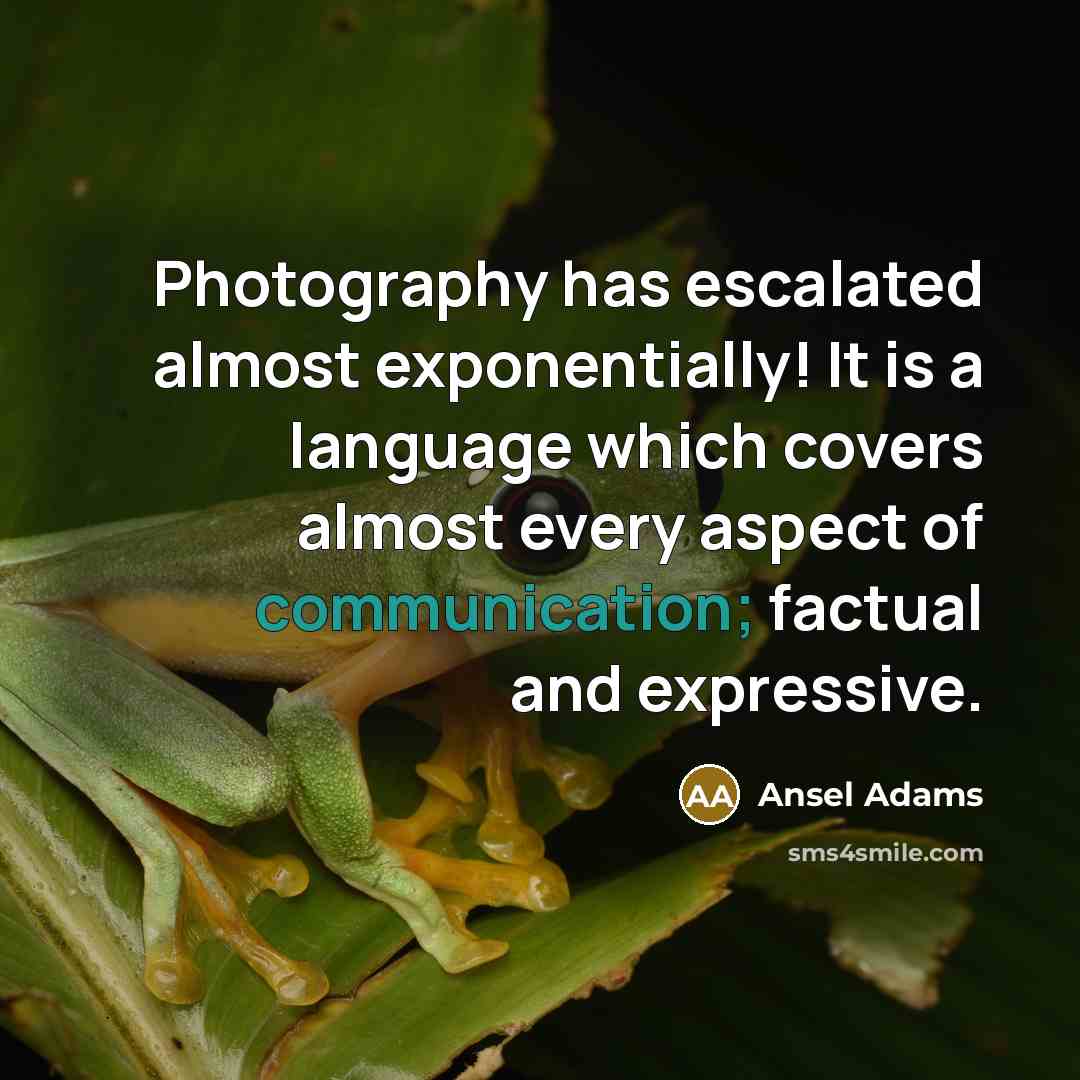 “Photography has escalated almost exponentially! It is a language which…” quote by Ansel Adams